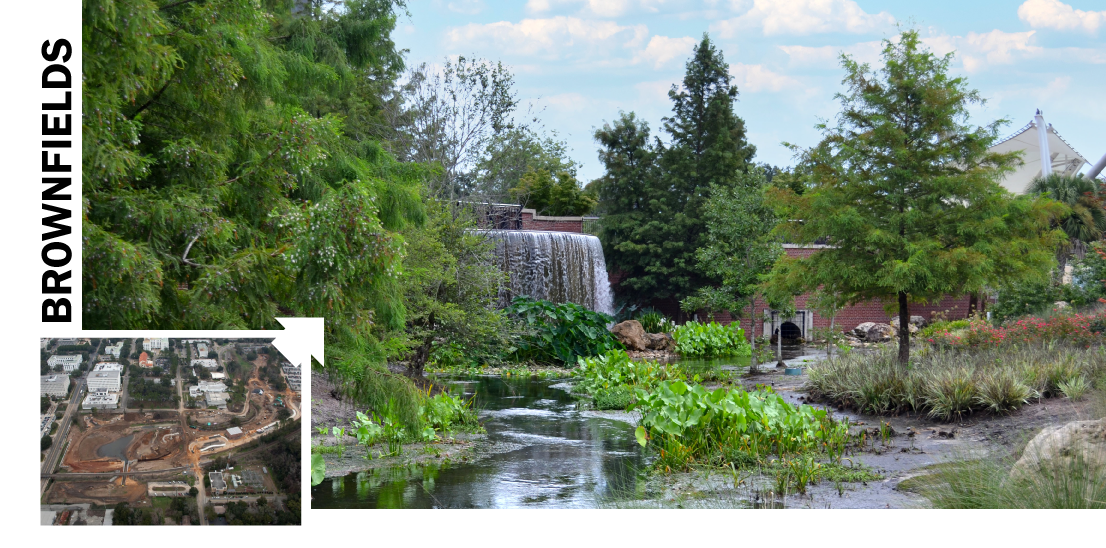 cascades park before and after